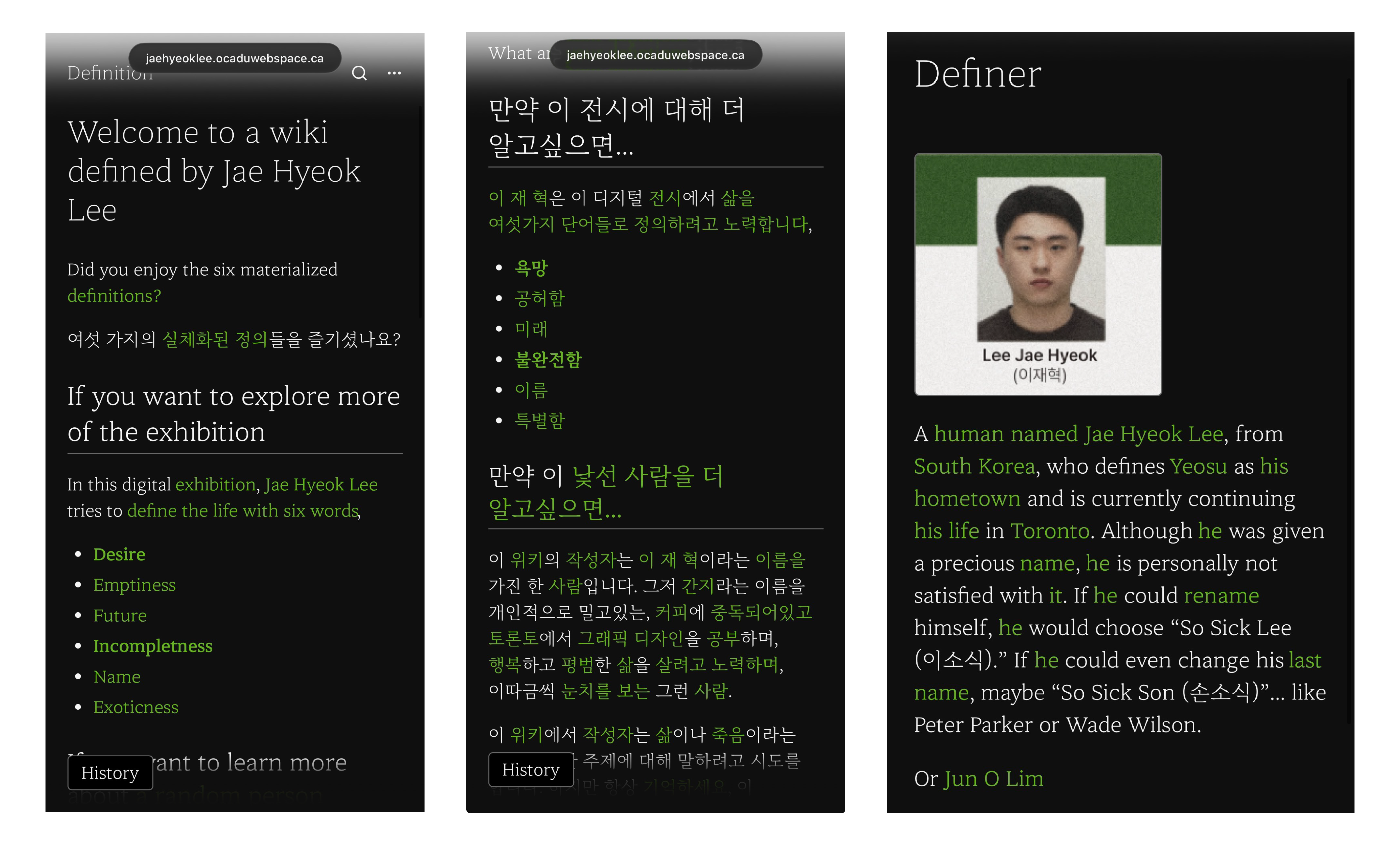 define wiki image